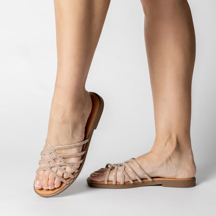 OMA BRILLANTE ROSE-3