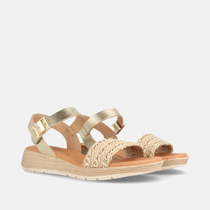 YANI MT-658 GOLD/GRAIN CHAMPAN-1