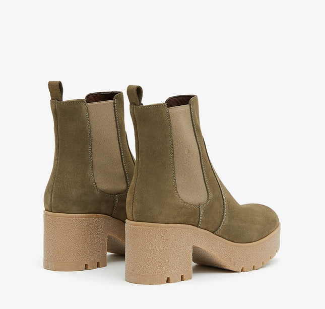 FOREST SERR. MUSGO-3