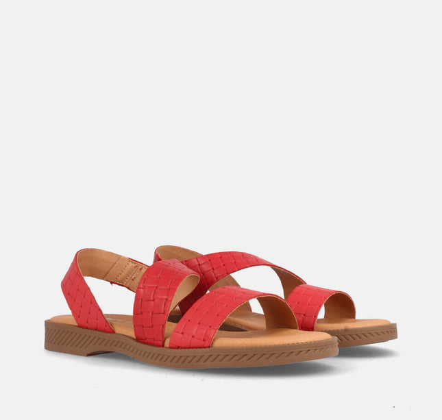 ASH TRENZ. ROJO-1