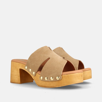 CHICAGO SERR. MUSHROOM-1