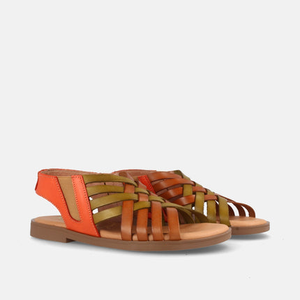 AMAPOLA COMBI AVELLANA-0