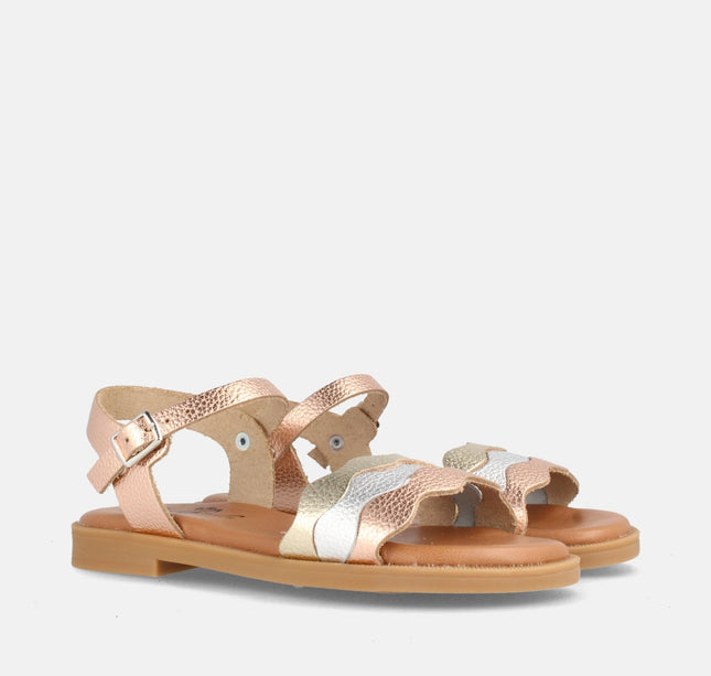 MARACUYA GRAB. MULTIROSE-1