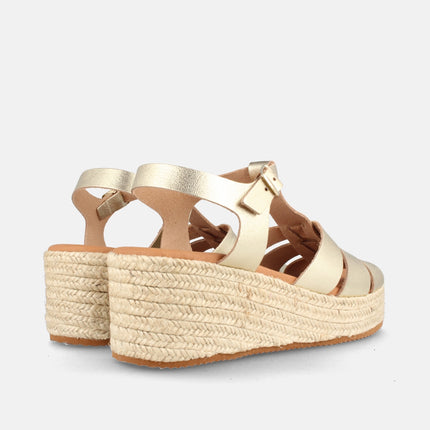 HASUNCION GRAIN CHAMPAN-2