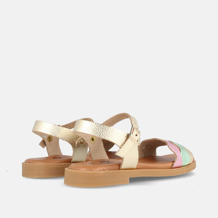 MARACUYA MULTIMETAL 2-2