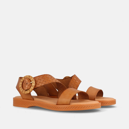 AMSTER AVELLANA/GRAB. 99-54-1