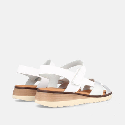 VENTURA GRAIN PLATA/BLANCO-2