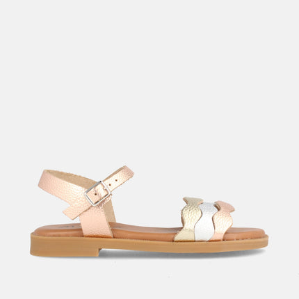 MARACUYA GRAB. MULTIROSE-0