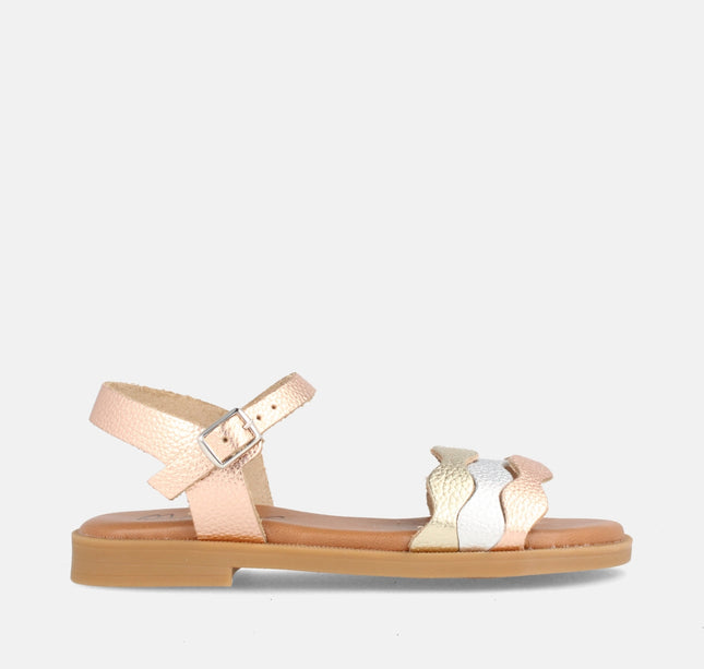 MARACUYA GRAB. MULTIROSE-0