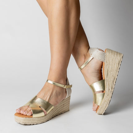 BOSTON GRAIN CHAMPAN-3