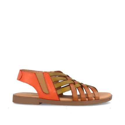 AMAPOLA COMBI AVELLANA-2