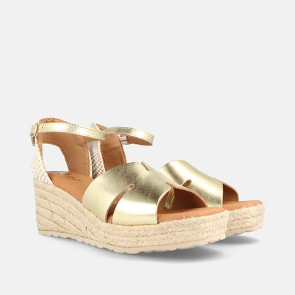 BOSTON GRAIN CHAMPAN-1