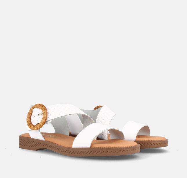 AMSTER BLANCO/GRAB. 99-54-1