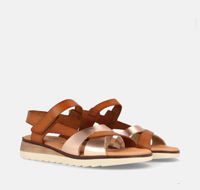 VENTURA GRAIN SALMON/AVELLANA-1