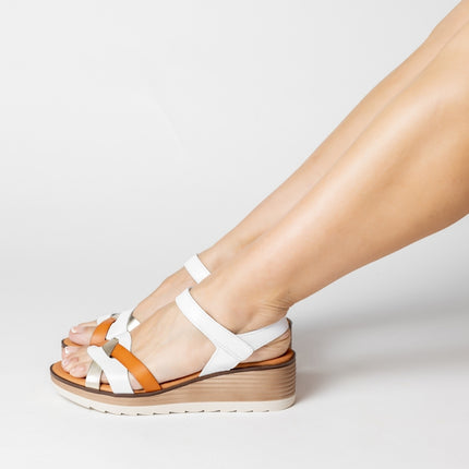 CECILIA GRAIN CHAMPAN/BLANCO/ALMENDRA-0