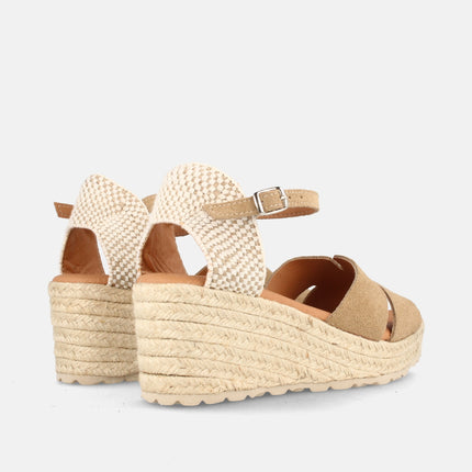 BOSTON SERR. MUSHROOM-2