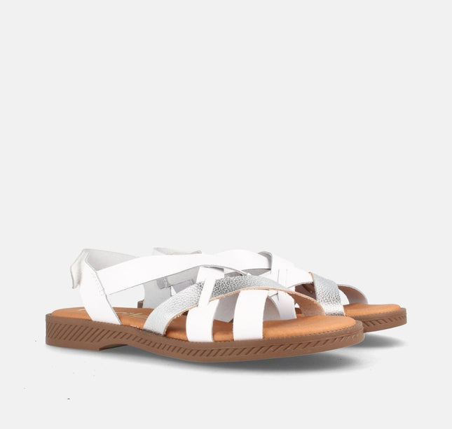 ANGEL BLANCO/GRAB. PLATA-1