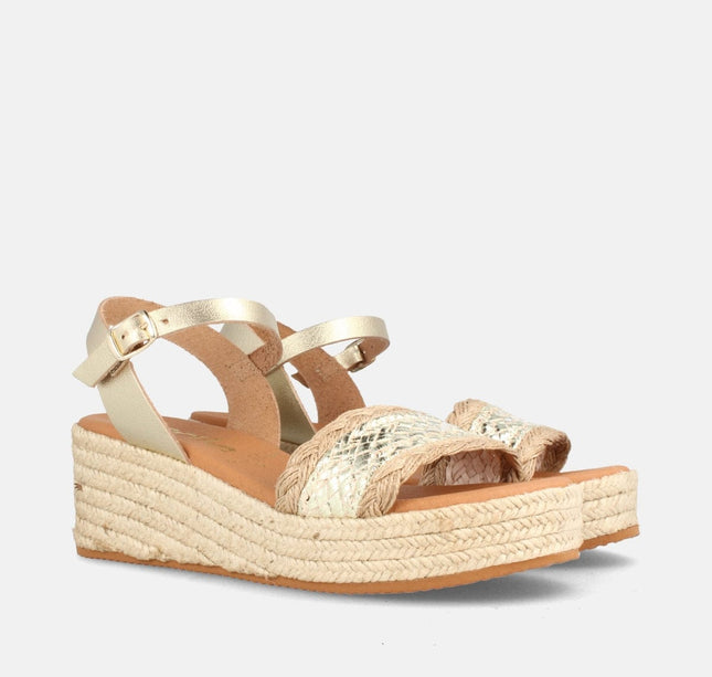 SALEM TR. 2819/45 PLATINO-1