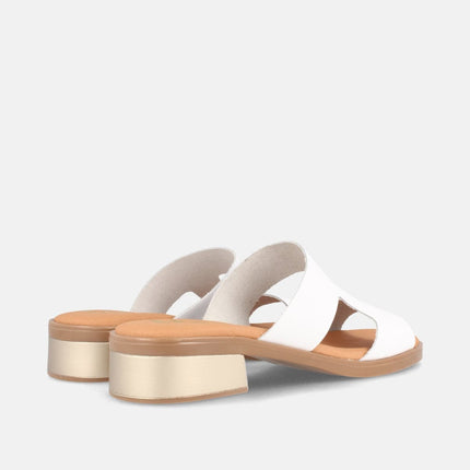 PON BLANCO-2