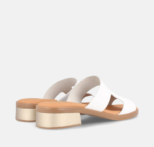 PON BLANCO-2