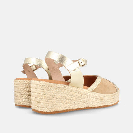 COLUMBIA SERR. ARENA/LAM. CHAMPAN-3