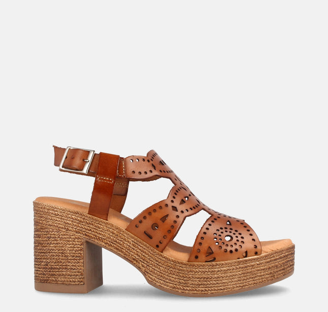 BEGA AVELLANA-0