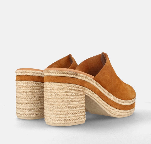 LIORA SERR. SETTER-2