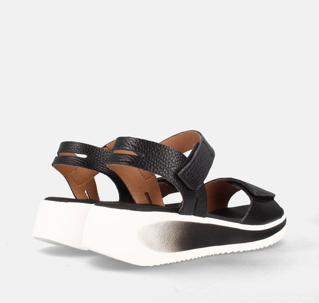 ILO OXFORD BLACK-2