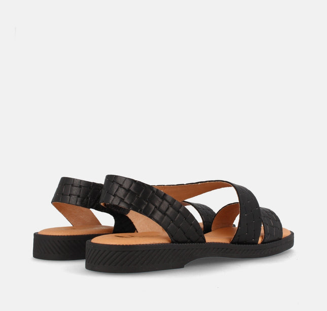 ASH TRENZ. NEGRO-2