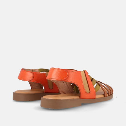 AMAPOLA COMBI AVELLANA-1