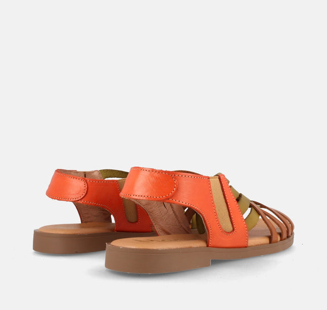 AMAPOLA COMBI AVELLANA-1