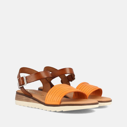 BERNARDINA NARANJA-1