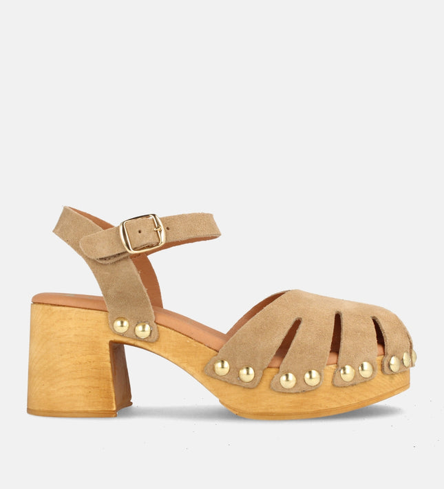 HOUSTON SERR. MUSHROOM-0