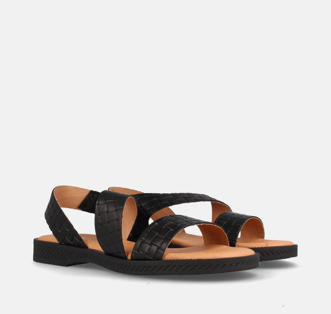 ASH TRENZ. NEGRO-1