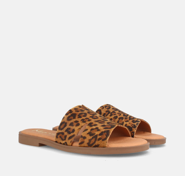 ANGELA LEOPARDO-2