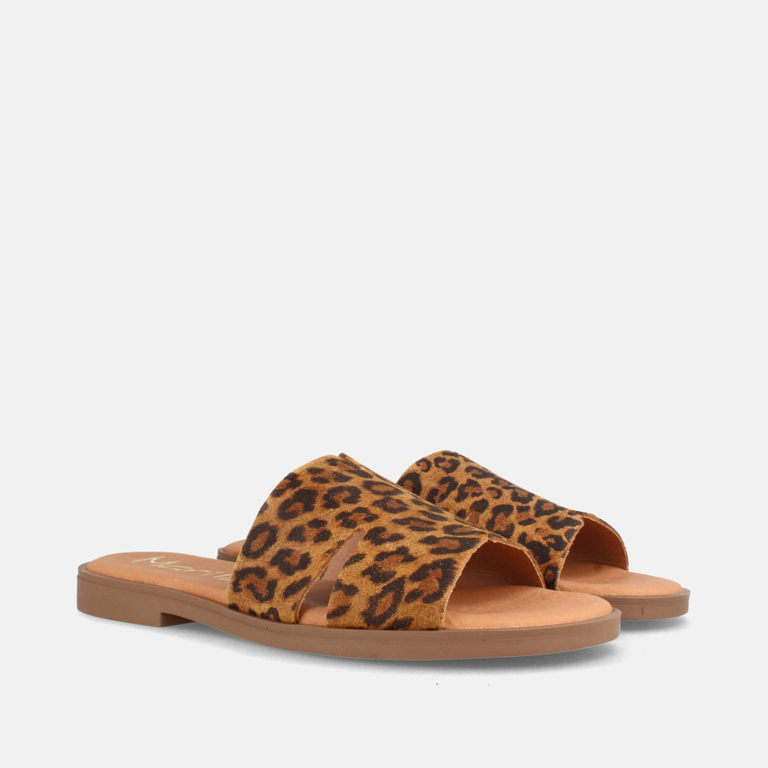 ANGELA LEOPARDO-2