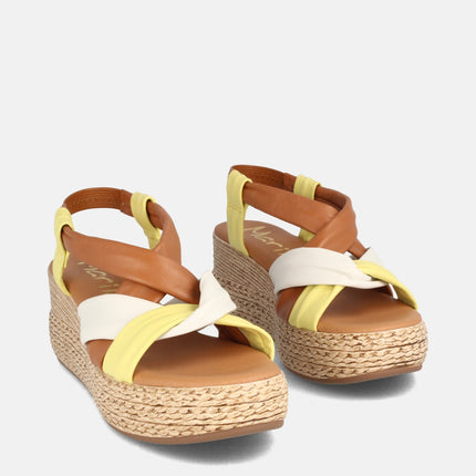 CLARABELLA AMARILLO-3