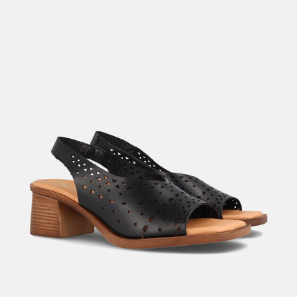 ELVIA NEGRO-2