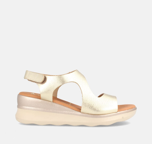 DASHA GRAIN CHAMPAN-0