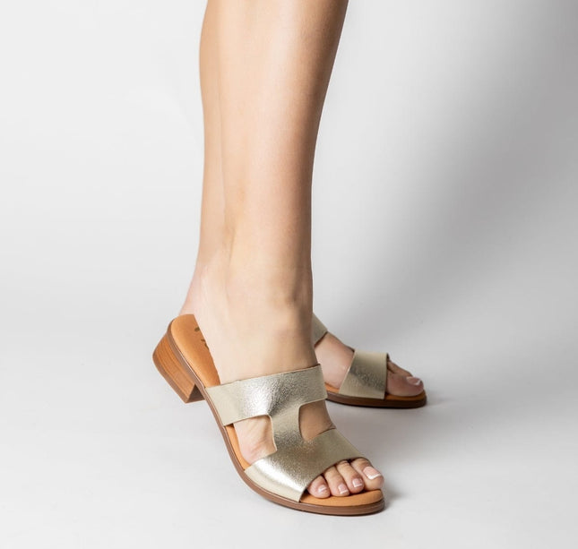 FARGO GRAIN CHAMPAN-3