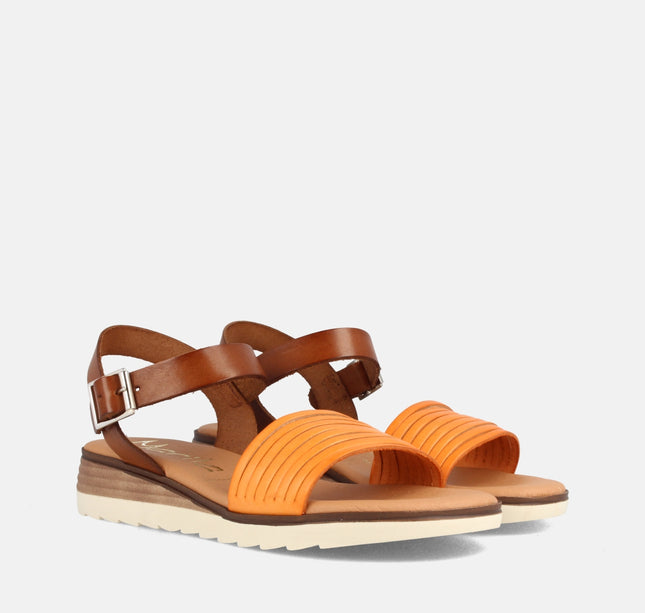 BERNARDINA NARANJA-0