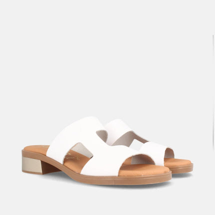 PON BLANCO-1