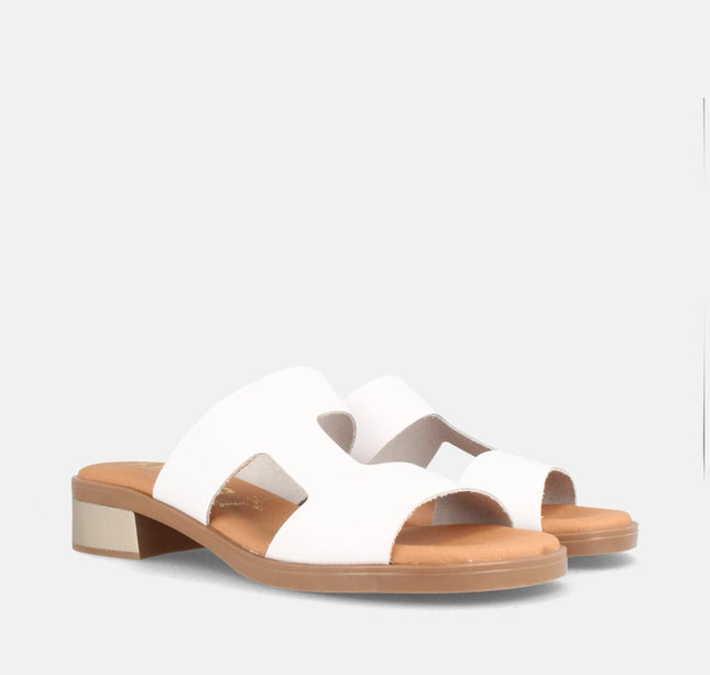 PON BLANCO-1