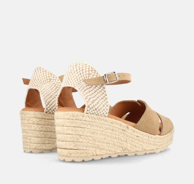 BOSTON SERR. MUSHROOM-2