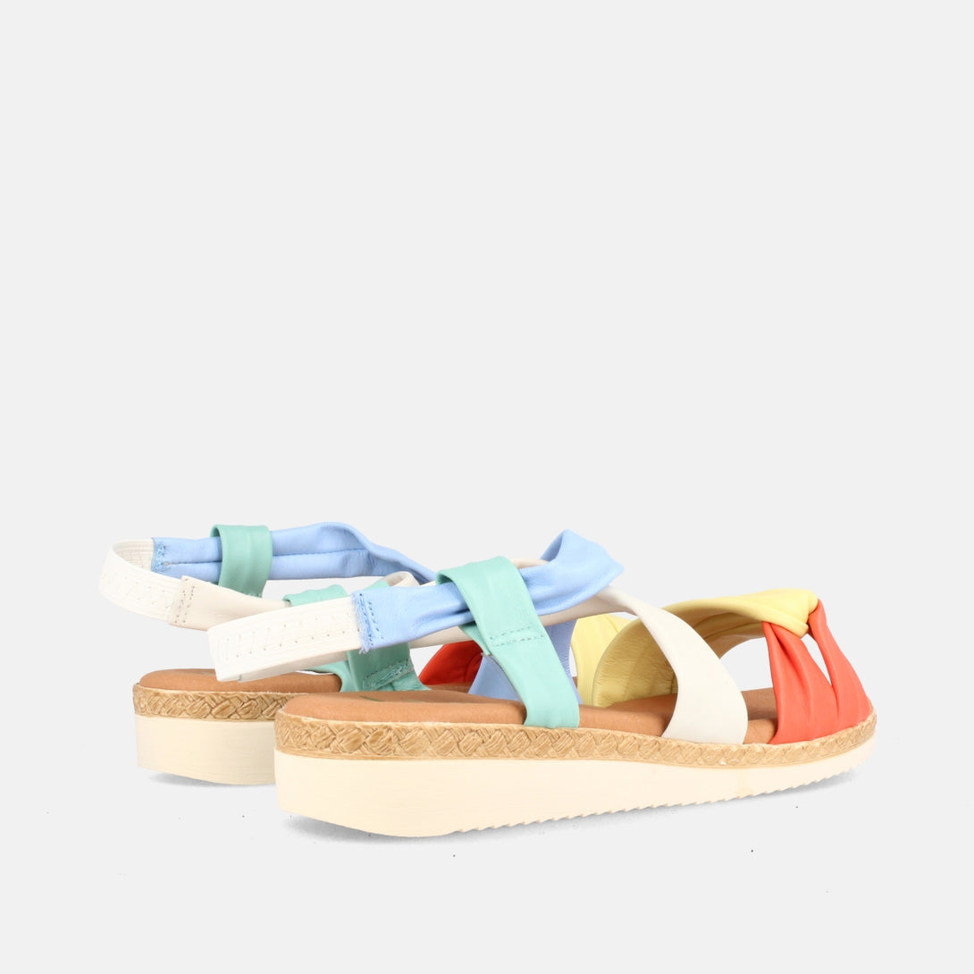 CELIA MULTI-2