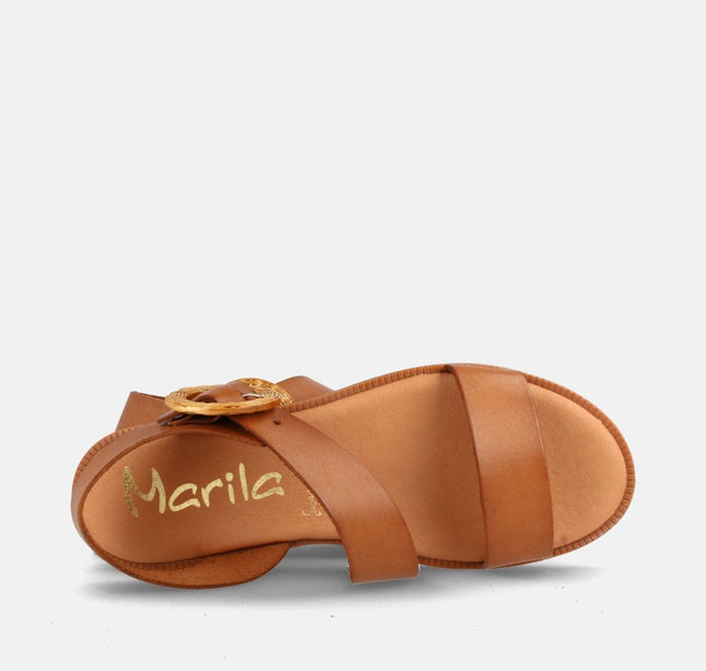 AMSTER AVELLANA-1
