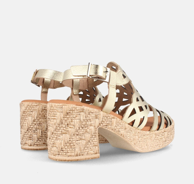 MEYA GRAIN CHAMPAN-2