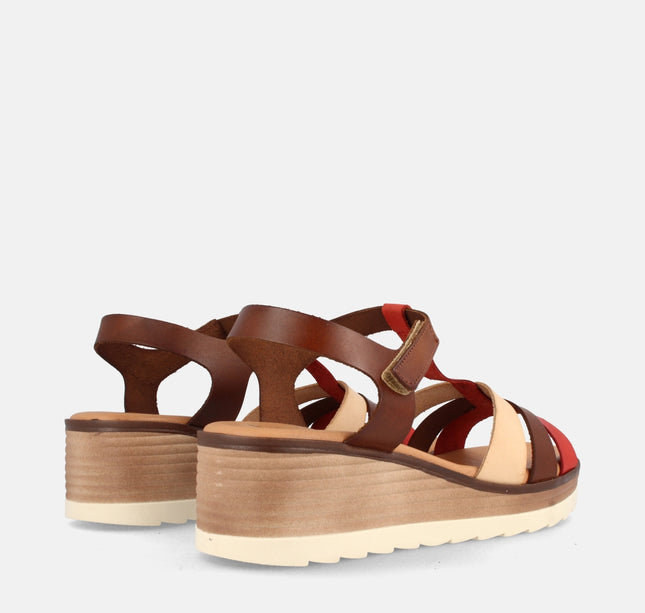 DHABI COMBI TEJA 2-1