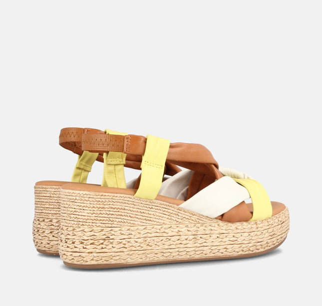 CLARABELLA AMARILLO-1