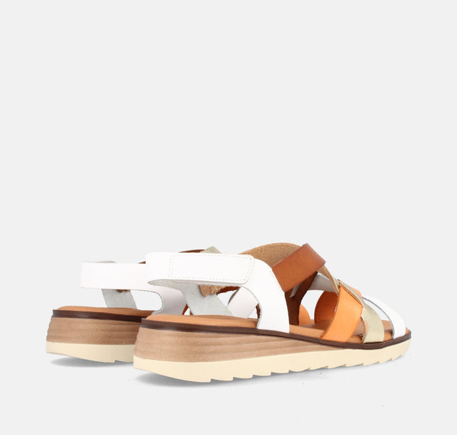 BETIANA COMBI BLANCO/GRAIN CHAMPAN-2